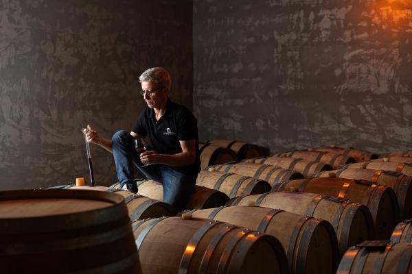 Guided Tour of the Vat Room and Cellar, tasting in the Vat and Aperitive Platter