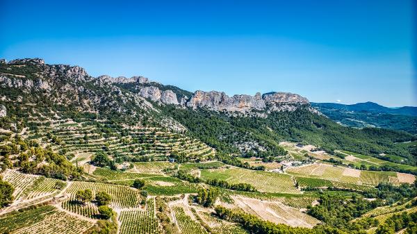 Masterclass Comprendre le Vin au Domaine de Coyeux
