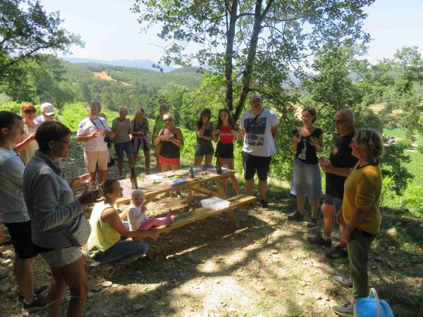 Visite des vignes - Domaine Peylong