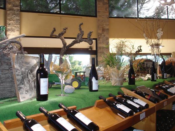 Cellar tour - Cave la Romaine