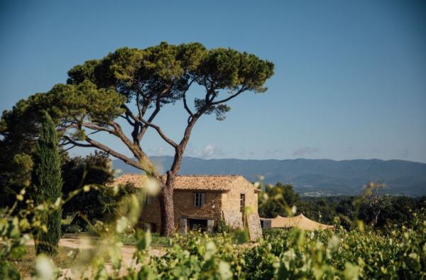 Atelier Vin et Chocolat- Domaine les Perpetus