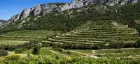 Autour des Dentelles de Montmirail- © Christophe Grilhe
