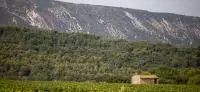 Vignoble du Luberon