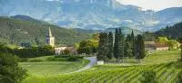 Clairette de Die-©Juan Robert
