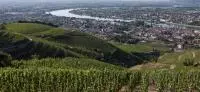 Vue sur le Rhône depuis les parcelles de vignes de l'Hermitage